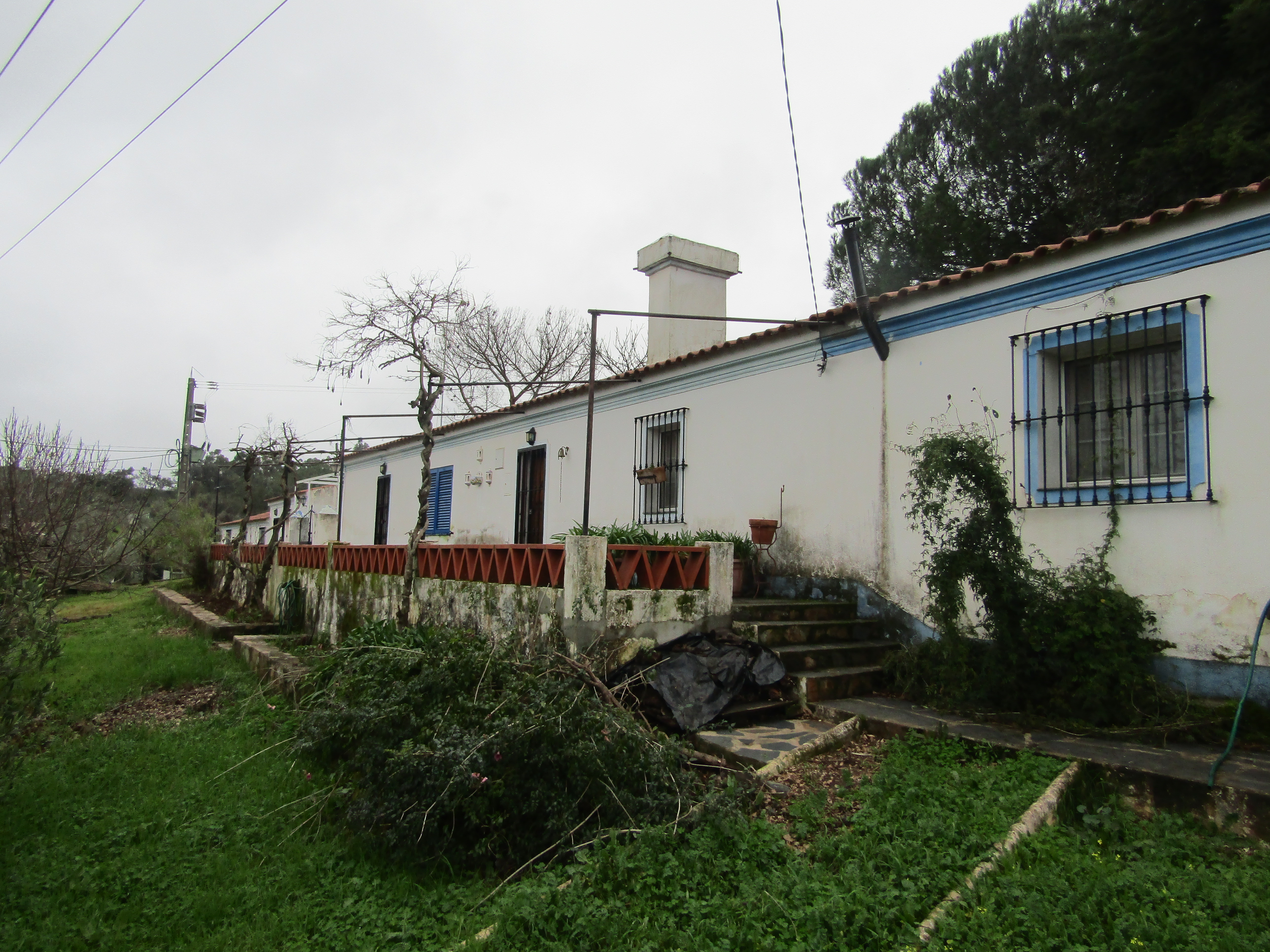 Quinta com 3,9 ha em Esperança