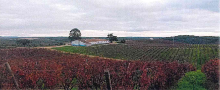 Herdade com 145 hectares em Alandroal