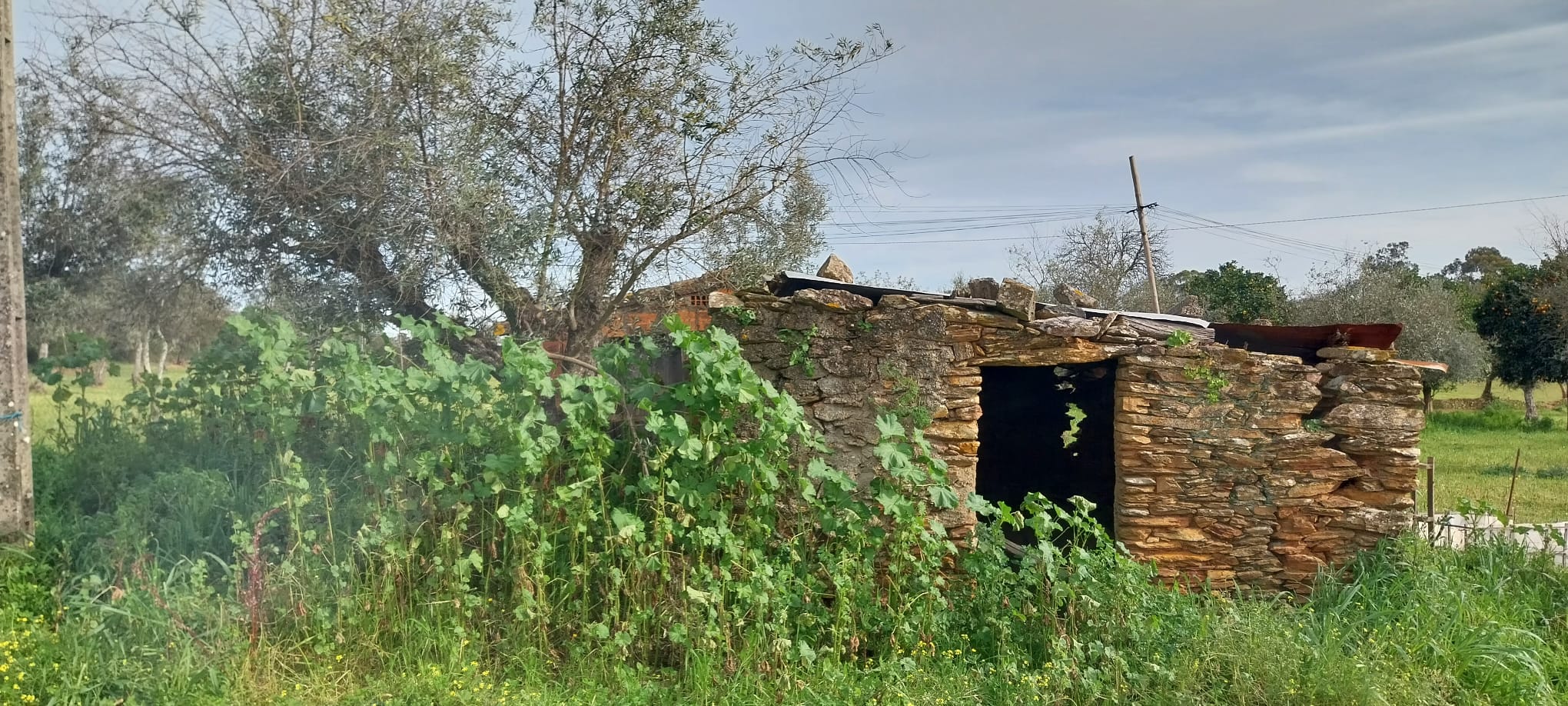 casa……………..